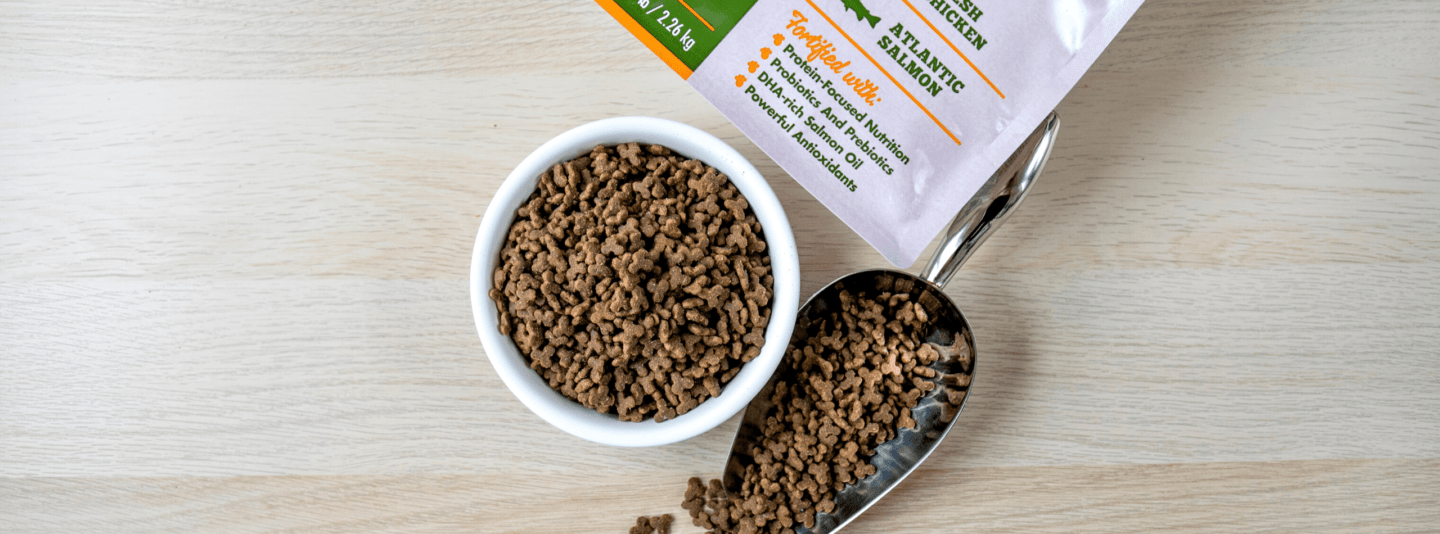 Cat food in a bowl and scoop