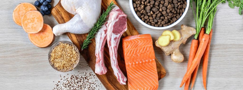 dog food ingredients