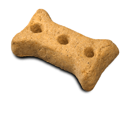 Dog Biscuit