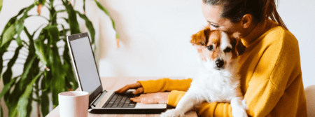 person using laptop and holding puppy