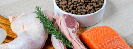 dog food meat ingredients