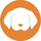 dog icon