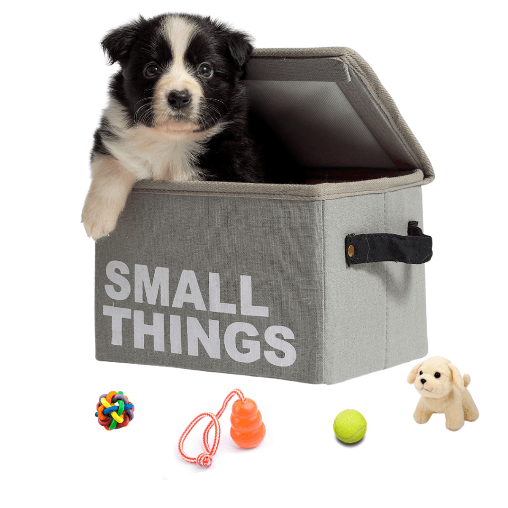 puppy in box labelled small things