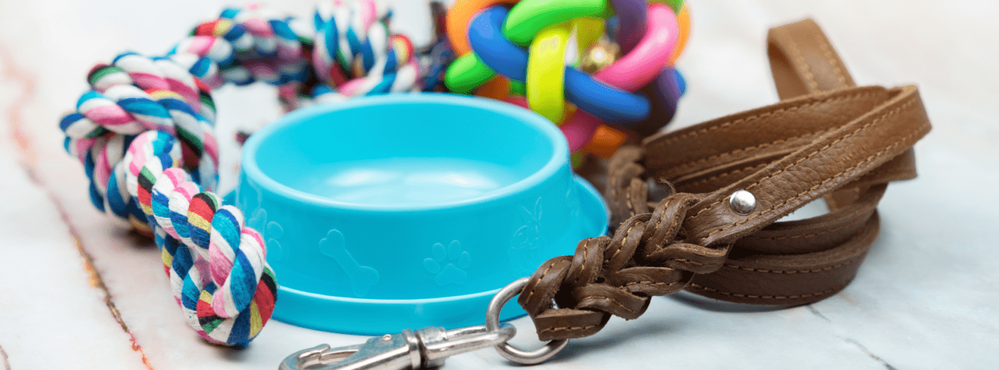 puppy toys, dish, leash